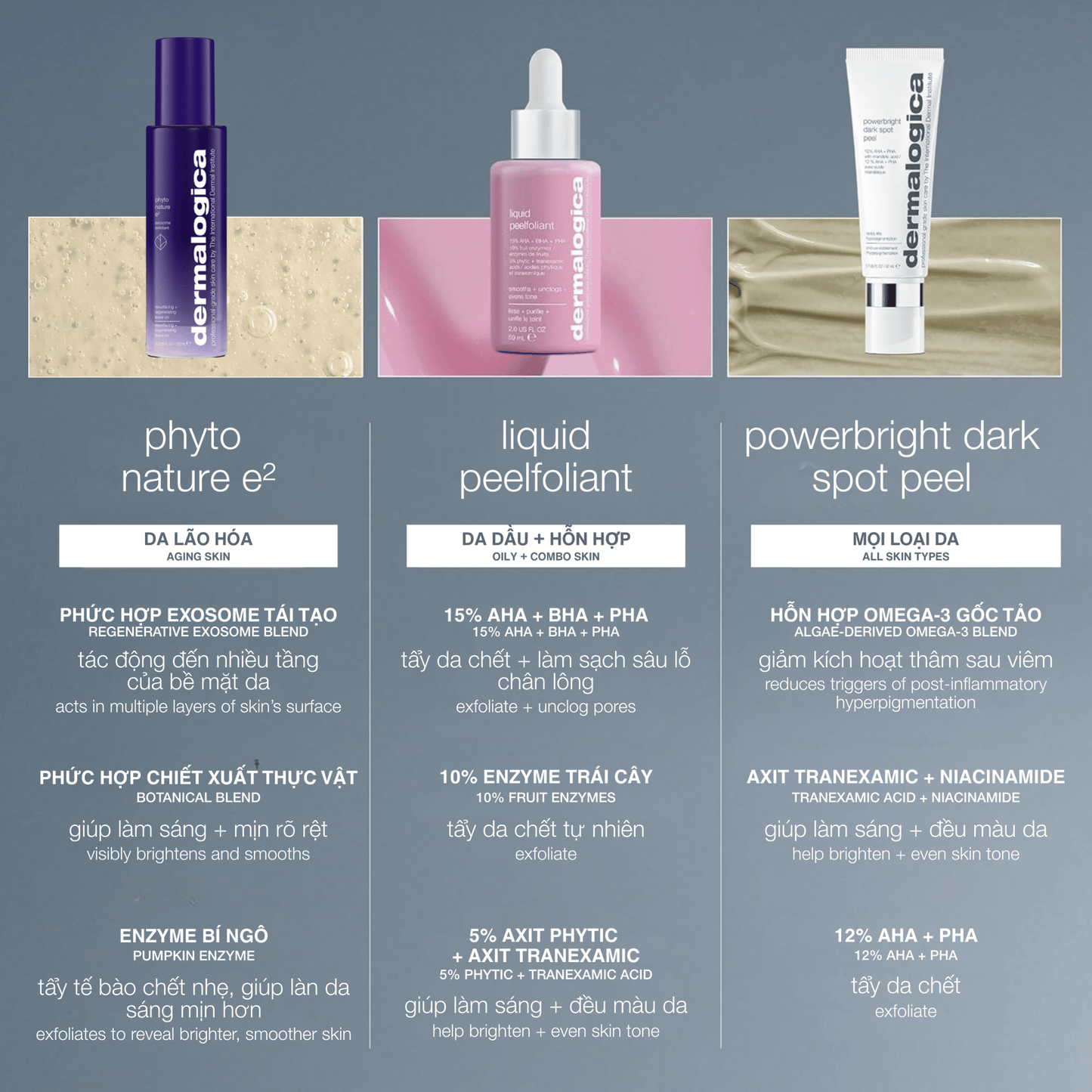 EXFOLIANTS EXFOLIANTS 100ml tái tạo da chứa exosome phyto nature e2