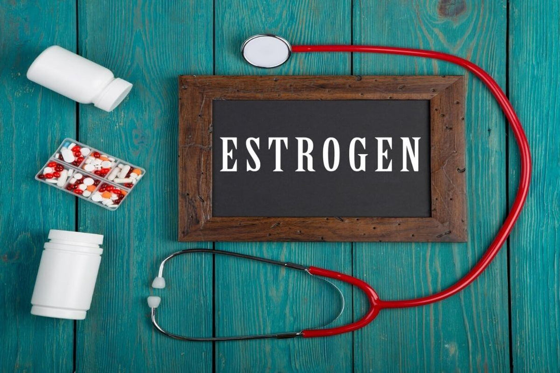 vai tro estrogen la gi? estrogen tac dong nhu the nao den da