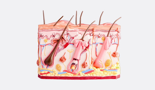 cach gi tri viem nang long tai nha hieu qua