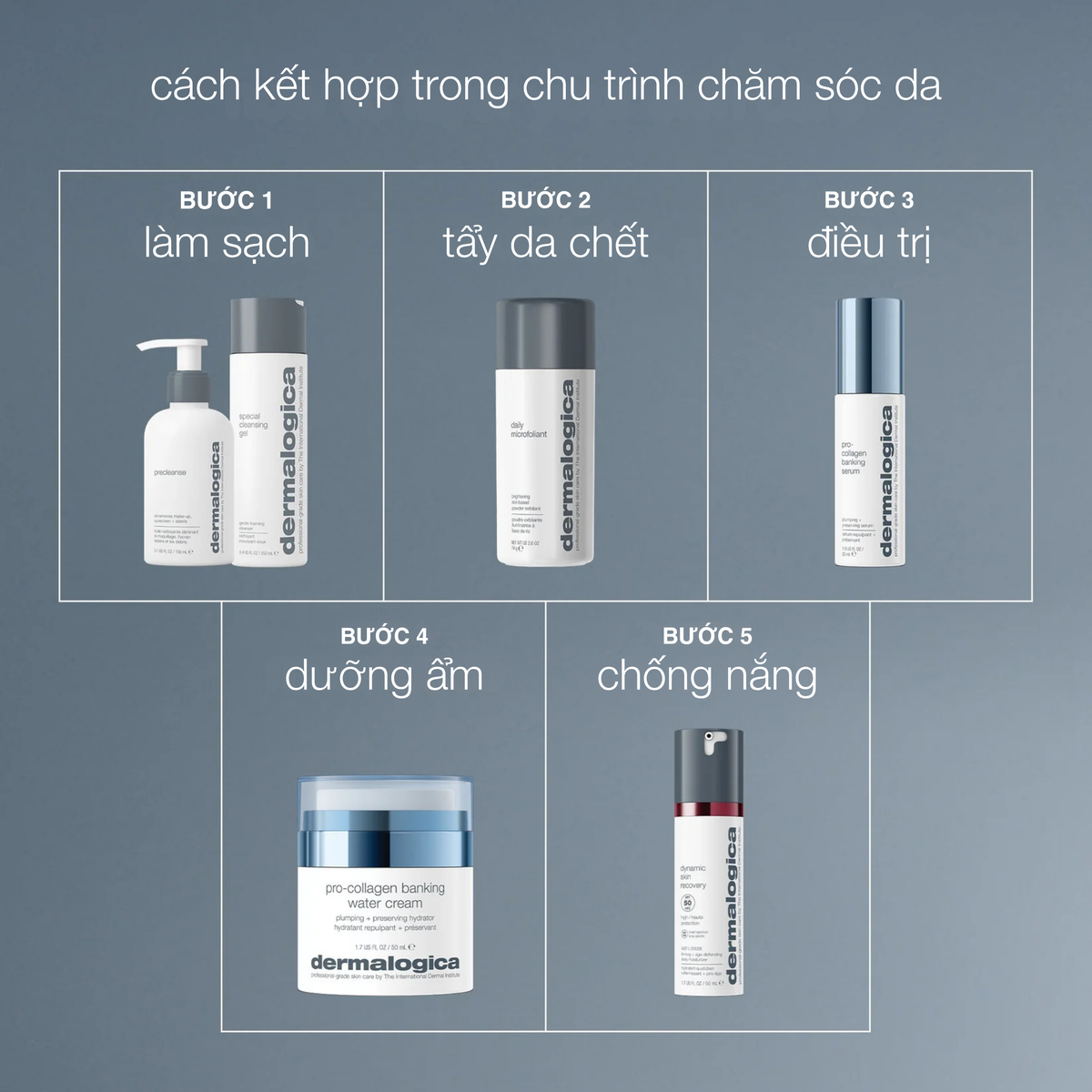 tinh chất duy trì collagen pro-collagen banking serum