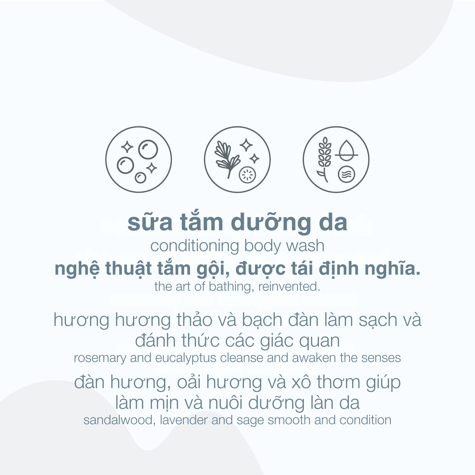 BODY BODY sữa tắm conditioning body wash