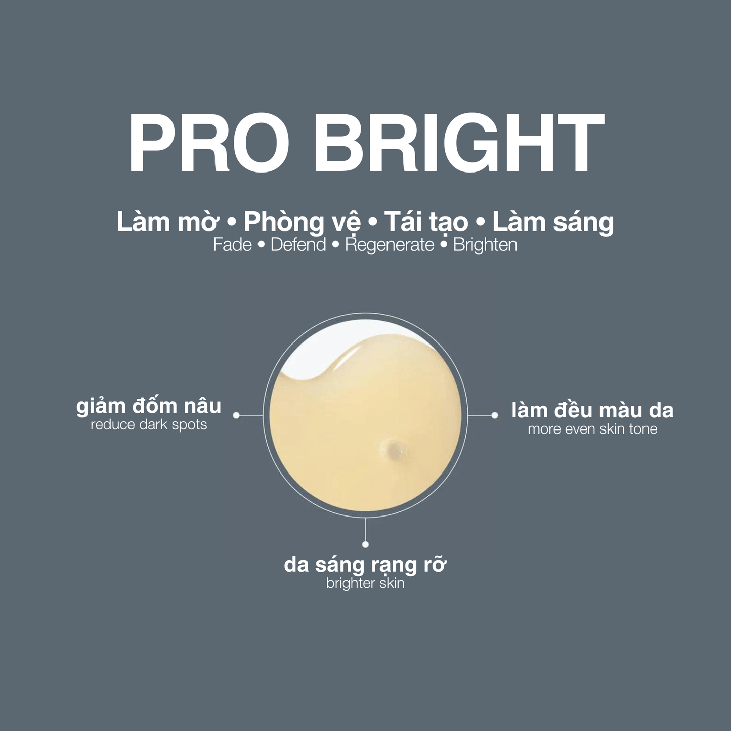 Dermalogica Vietnam 60 phút Điều trị pro bright skin