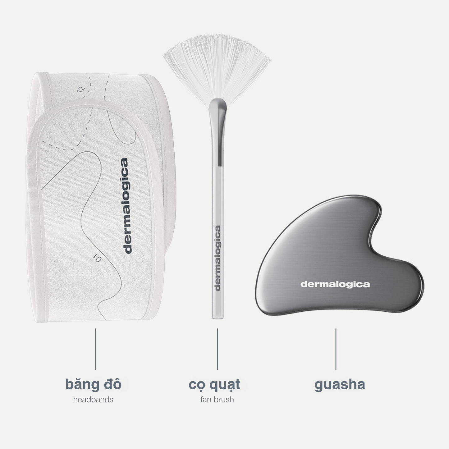 Dermalogica Vietnam Bộ sản phẩm chuyên gia - expertise kit