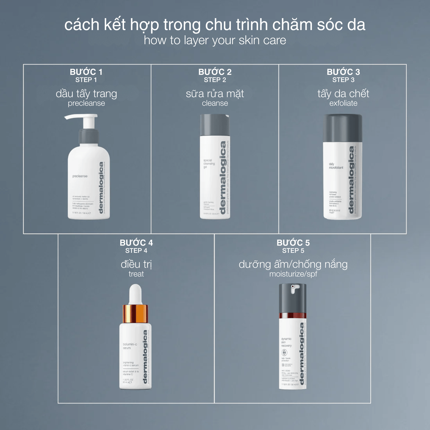 Dermalogica Vietnam CLEANSERS dầu tẩy trang precleanse