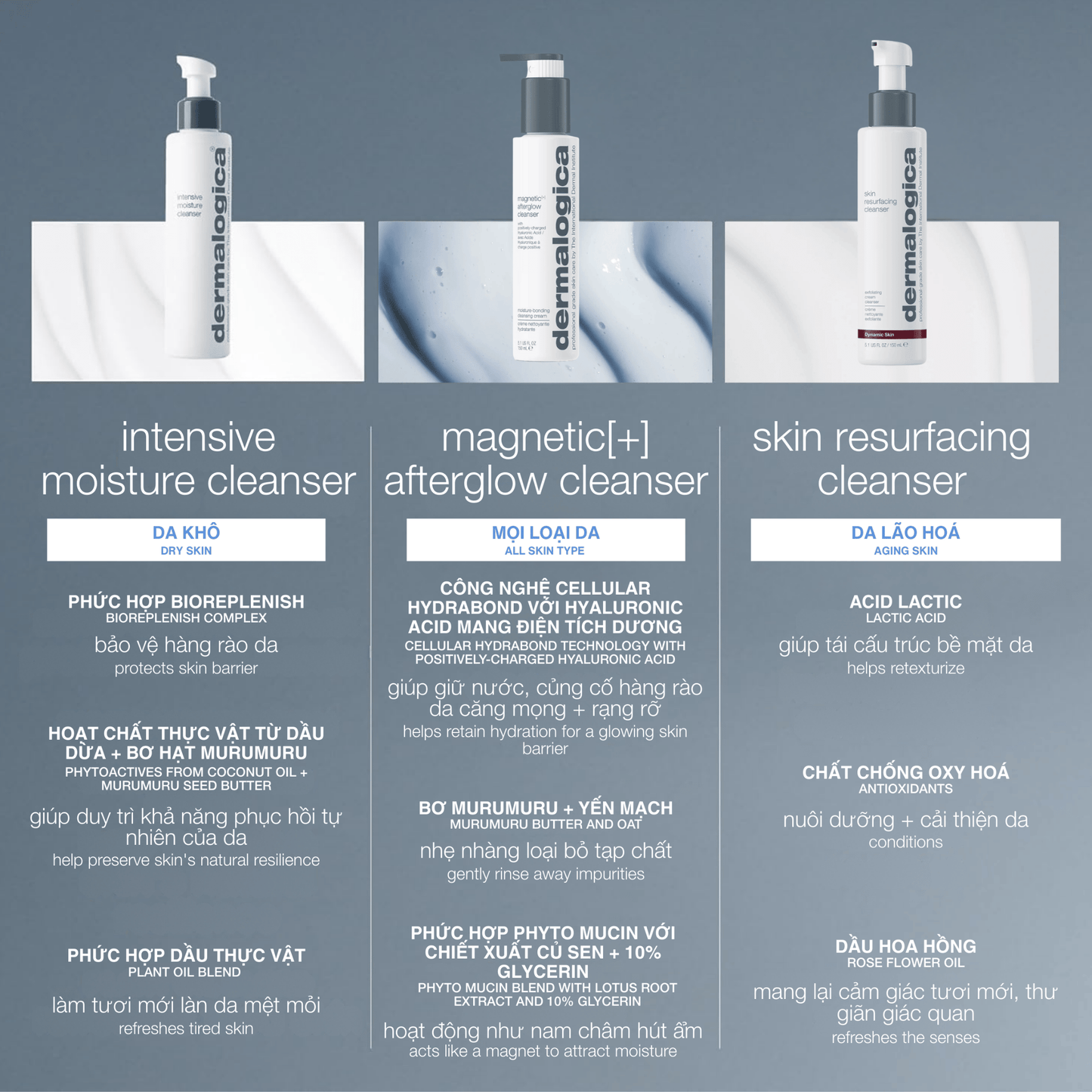 Dermalogica Vietnam CLEANSERS sữa rửa mặt magnetic[+] afterglow cleanser