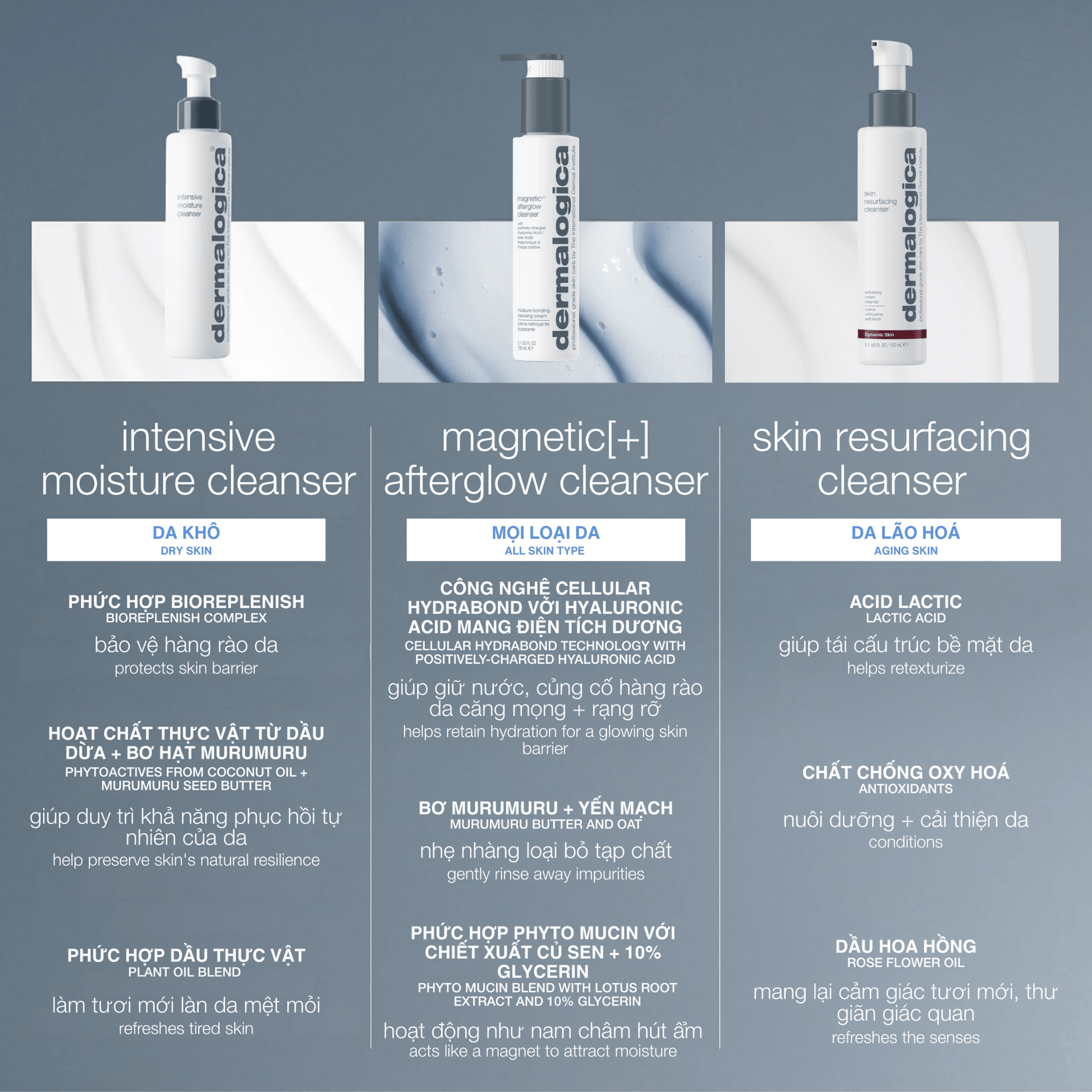 Dermalogica Vietnam CLEANSERS sữa rửa mặt magnetic[+] afterglow cleanser