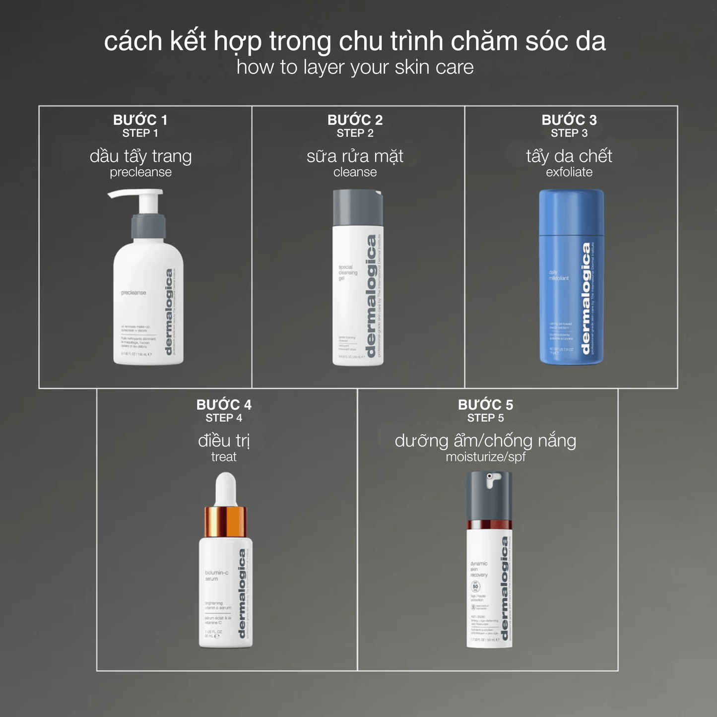 Dermalogica Vietnam exfoliants tẩy da chết yến mạch daily milkfoliant