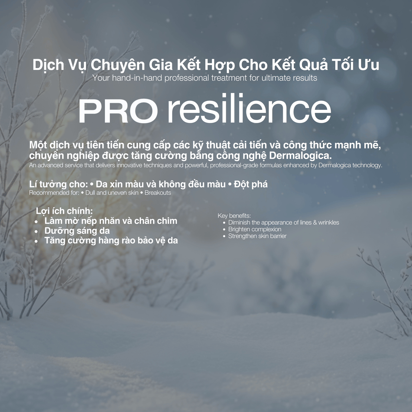 Dermalogica Vietnam (KOL Là Trang) - Bộ Lễ Hội Đỏ Cho trái tim đầy đam mê