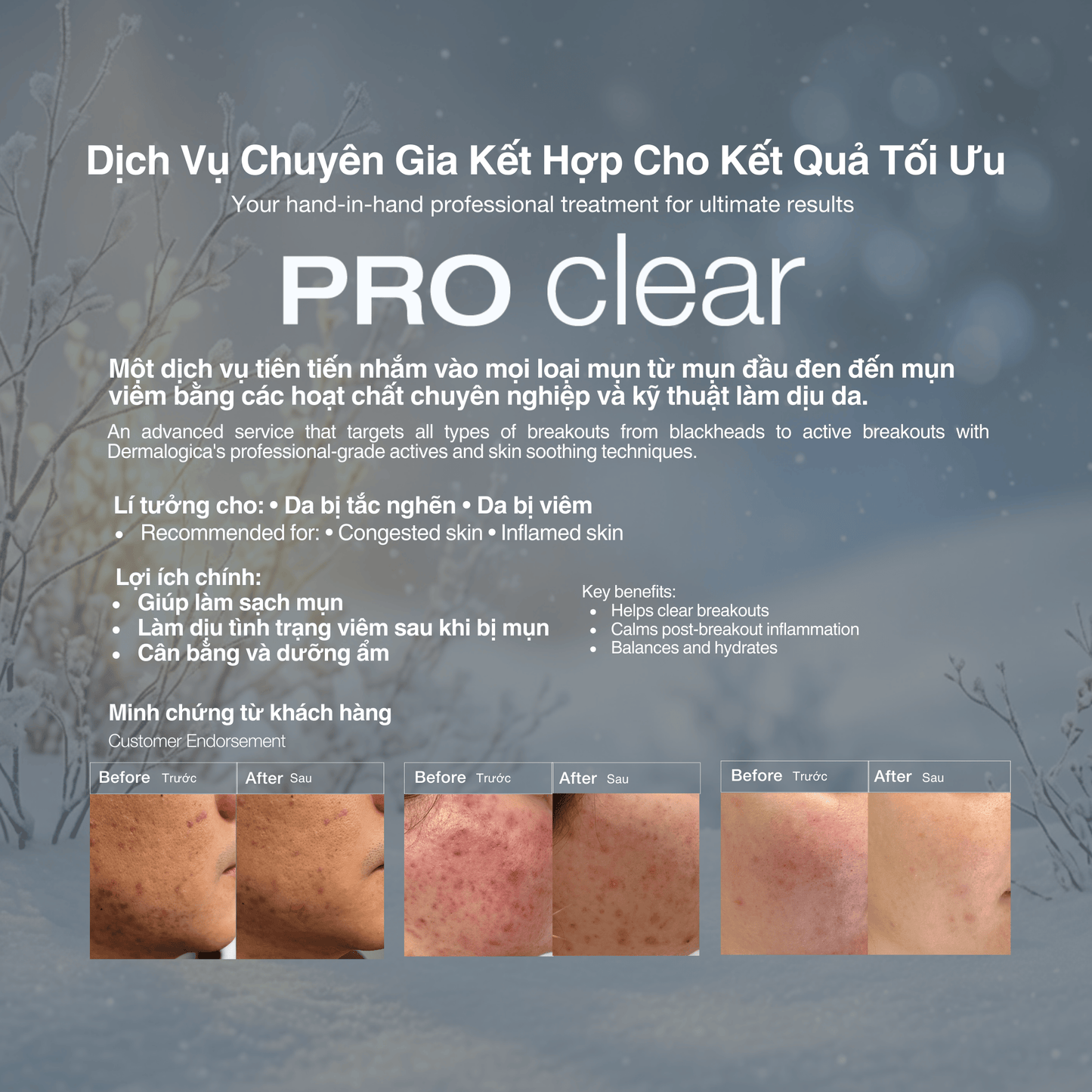 Dermalogica Vietnam (KOL Là Trang) - Bộ Lễ Hội Xanh Lá Cho người tìm kiếm sự cân bằng