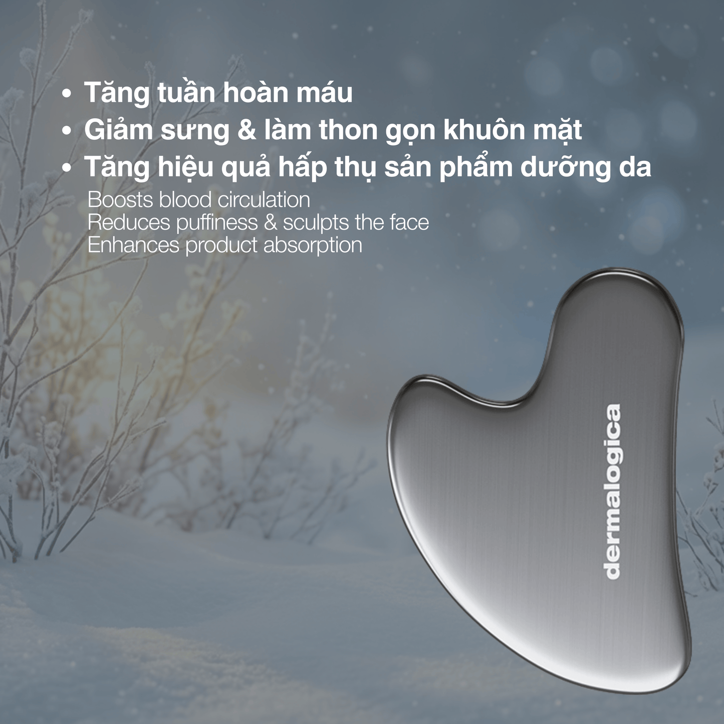 Dermalogica Vietnam SKIN KITS Bộ vàng cho làn da tỏa sáng tự tin