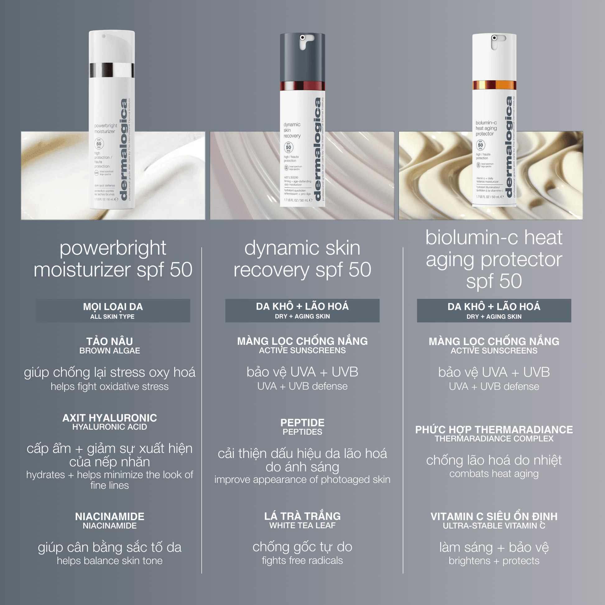 Dermalogica Vietnam SPF 50ml kem chống nắng ngăn ngừa nám powerbright moisturizer spf50