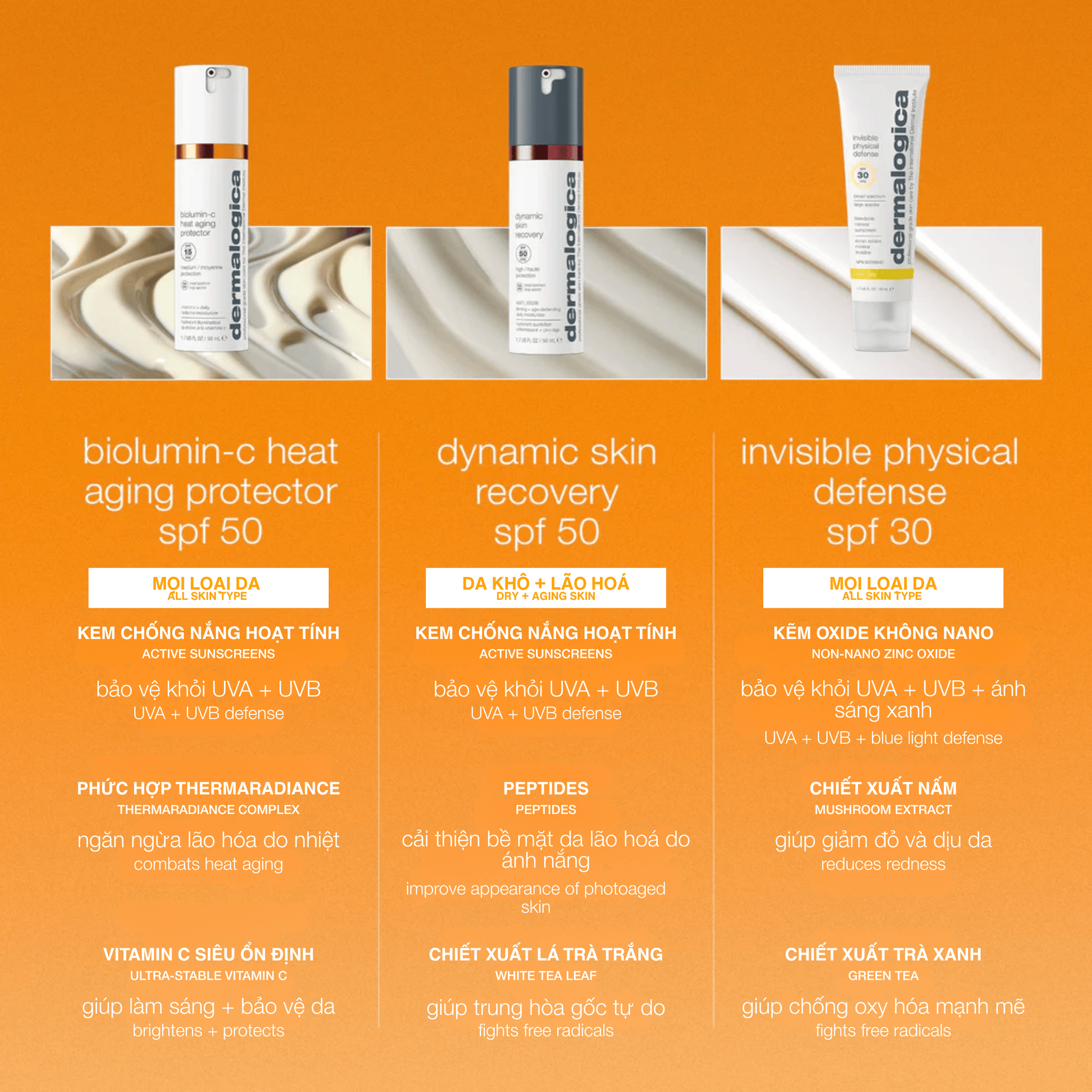 Dermalogica Vietnam SPF kem chống nắng biolumin-c heat aging protector spf50