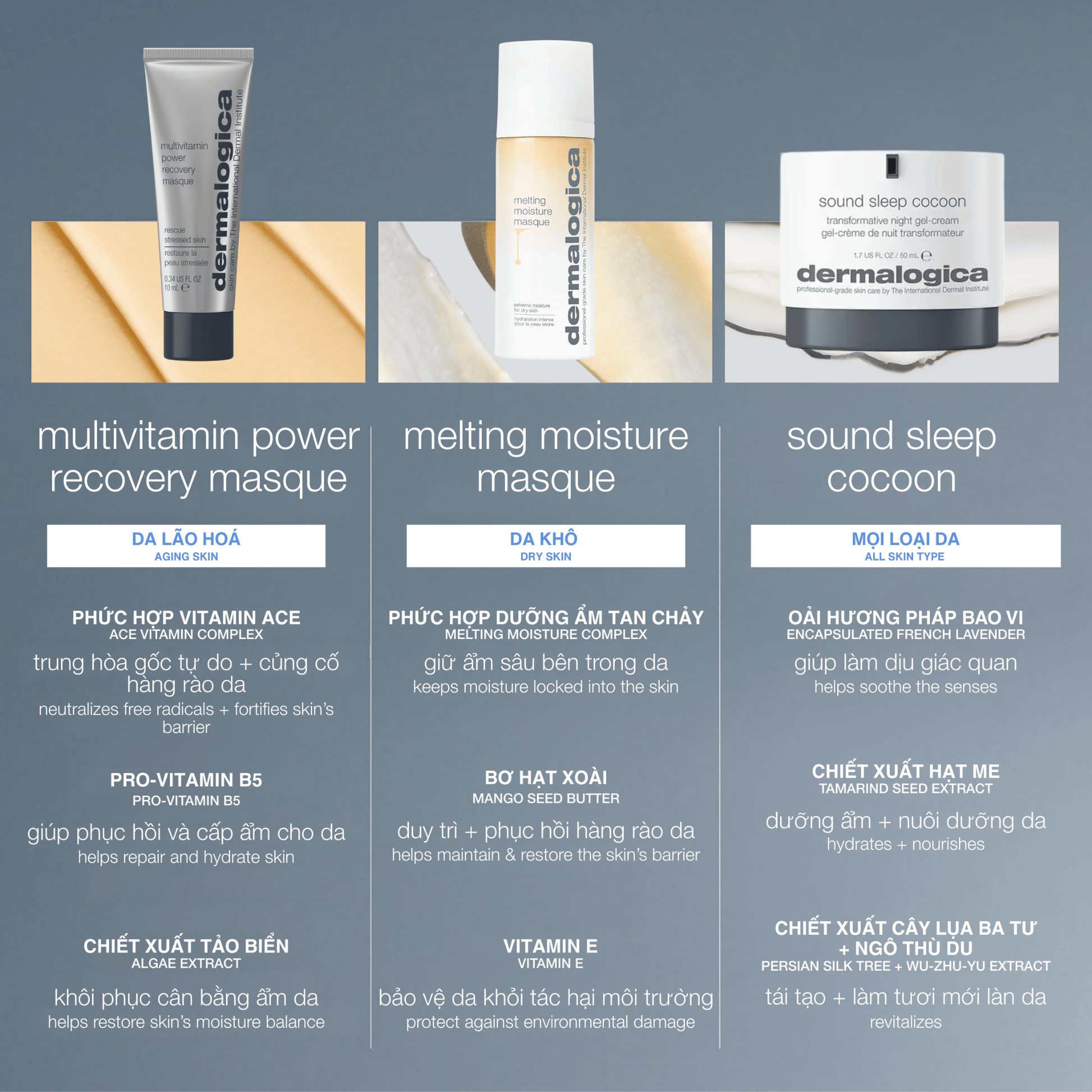 Dermalogica VN MASQUES 50ml mặt nạ cấp ẩm melting moisture masque