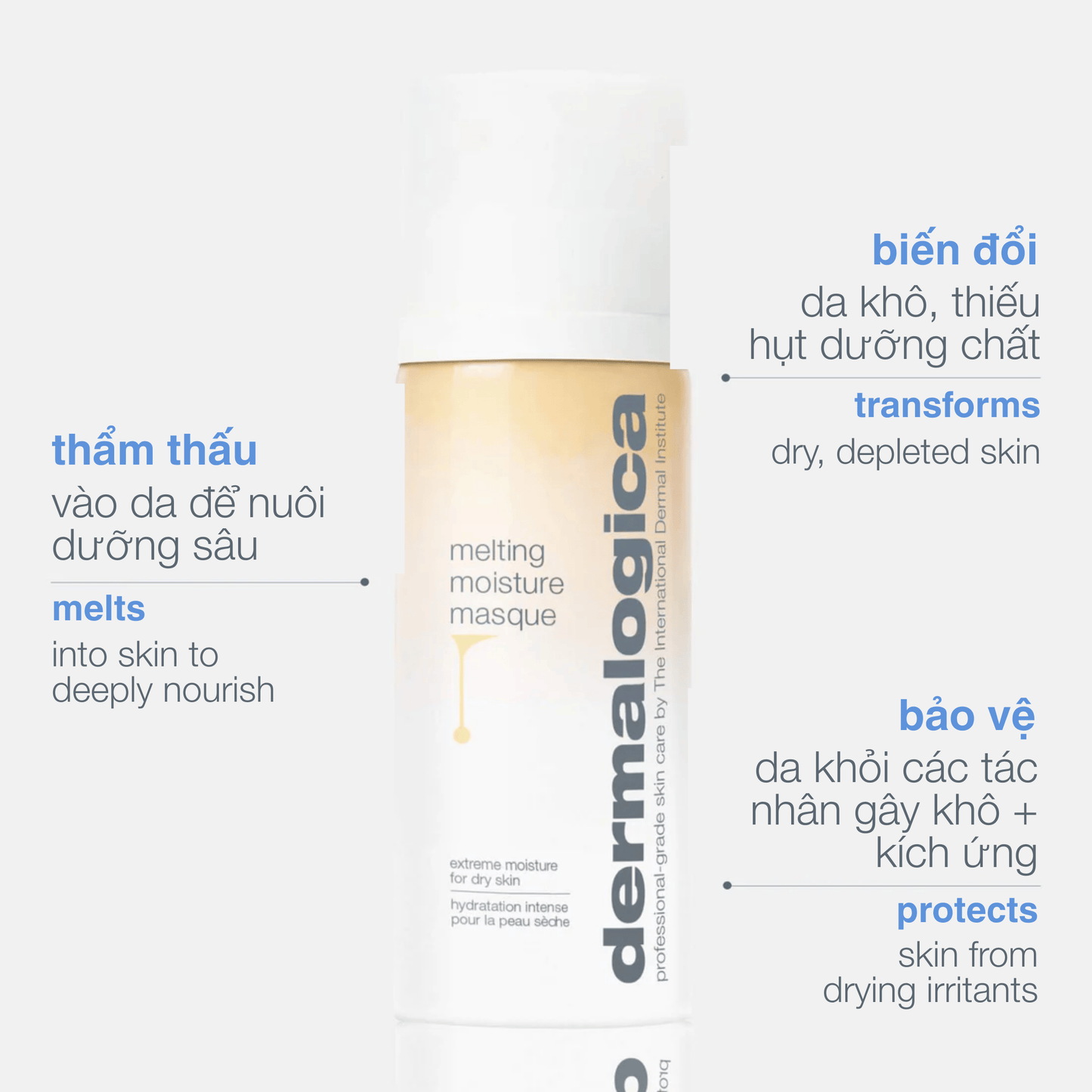 Dermalogica VN MASQUES 50ml mặt nạ cấp ẩm melting moisture masque