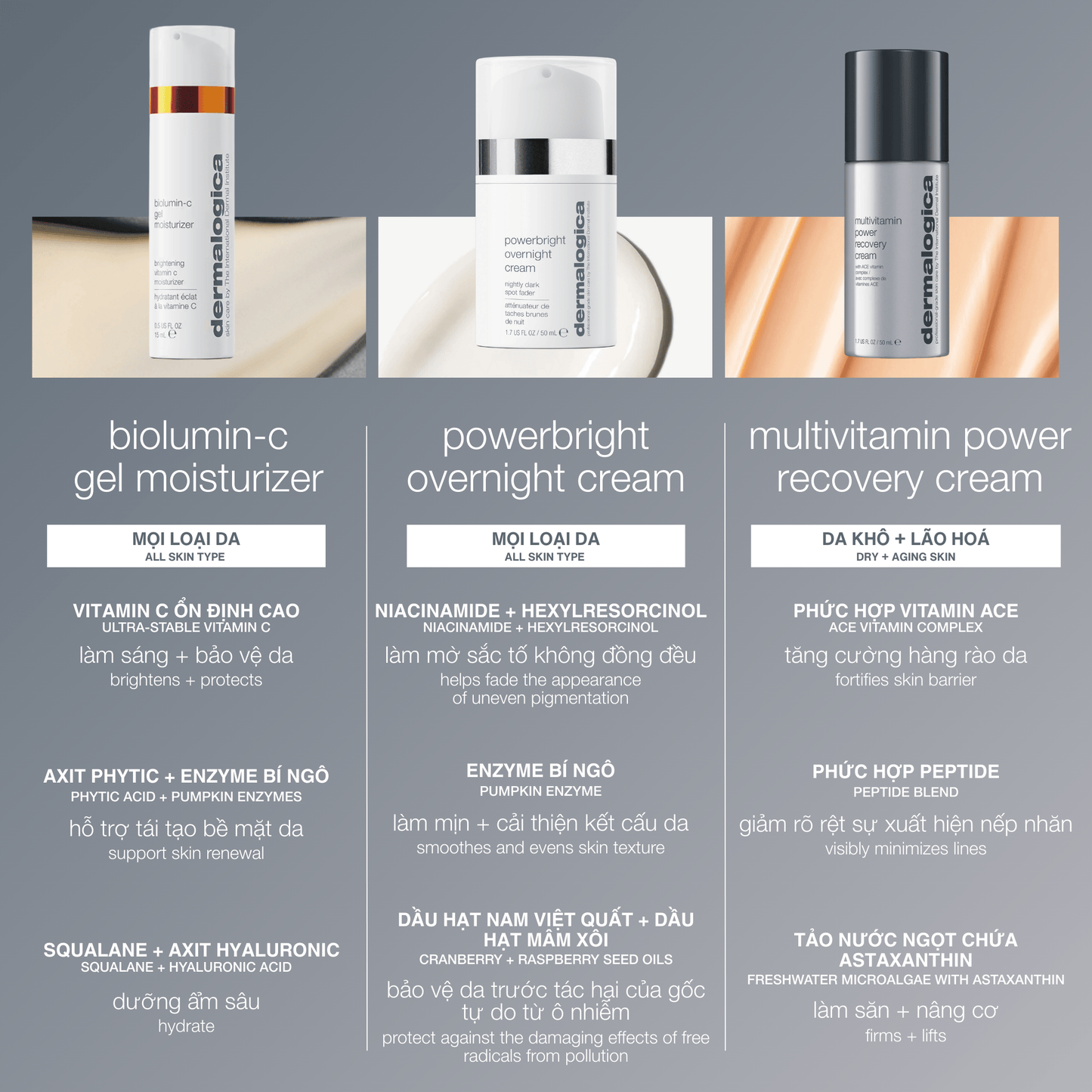 Dermalogica VN MOISTURIZERS 50ml kem dưỡng ban đêm mờ đốm nâu powerbright overnight cream