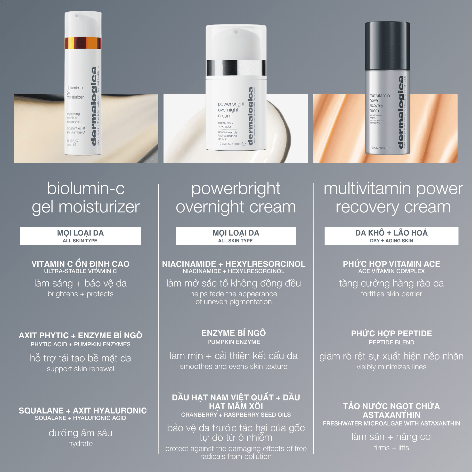 Dermalogica VN MOISTURIZERS 50ml kem dưỡng ban đêm mờ đốm nâu powerbright overnight cream