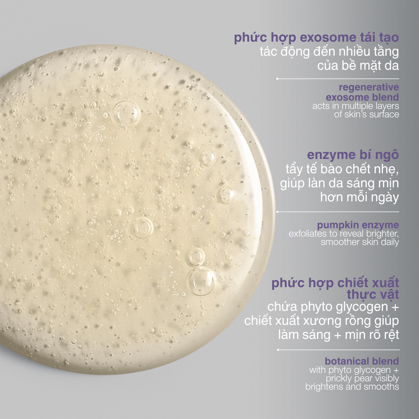 EXFOLIANTS EXFOLIANTS 100ml Phyto Nature E2