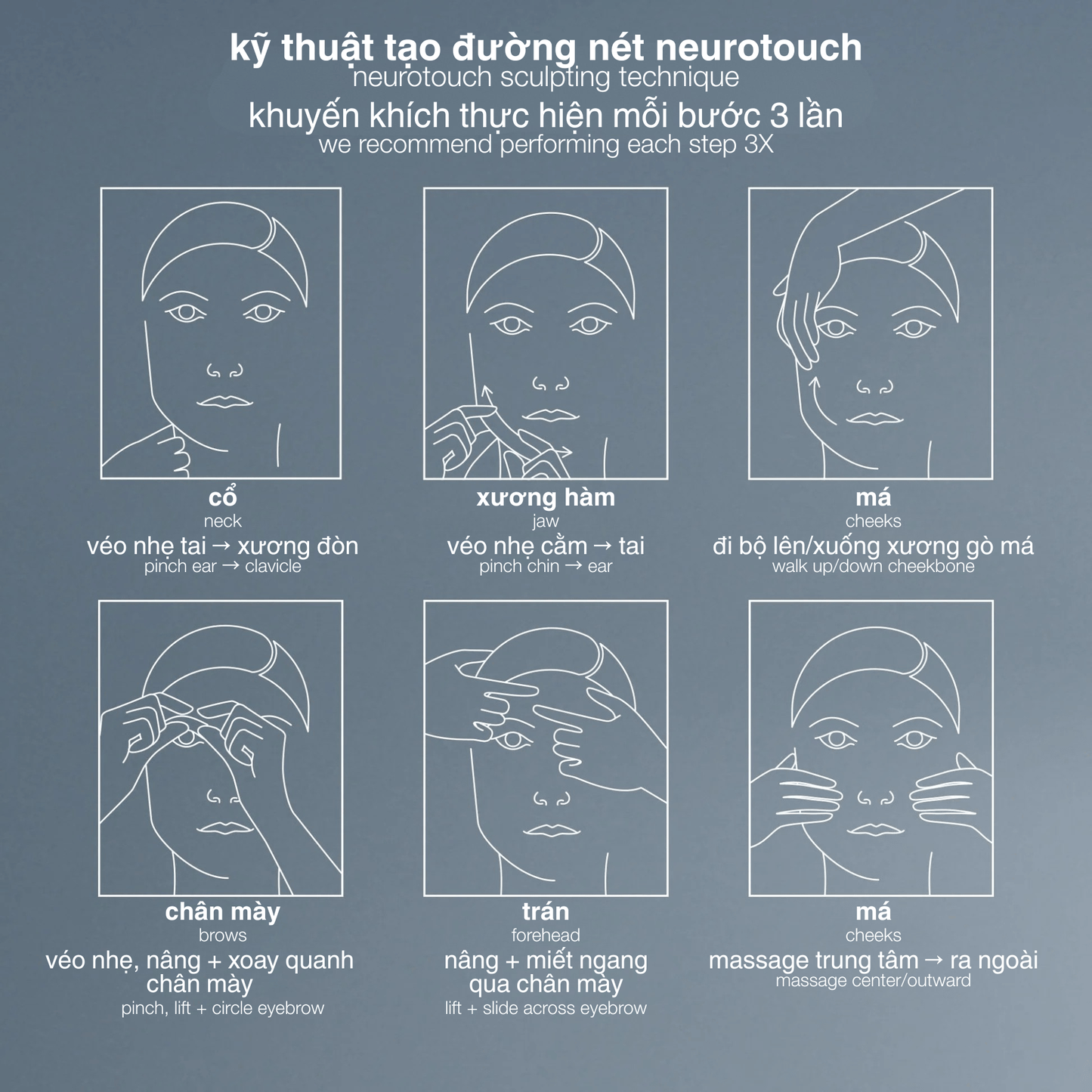 FACIAL OILS AND SERUMS FACIAL OILS AND SERUMS 30ml neurotouch symmetry serum