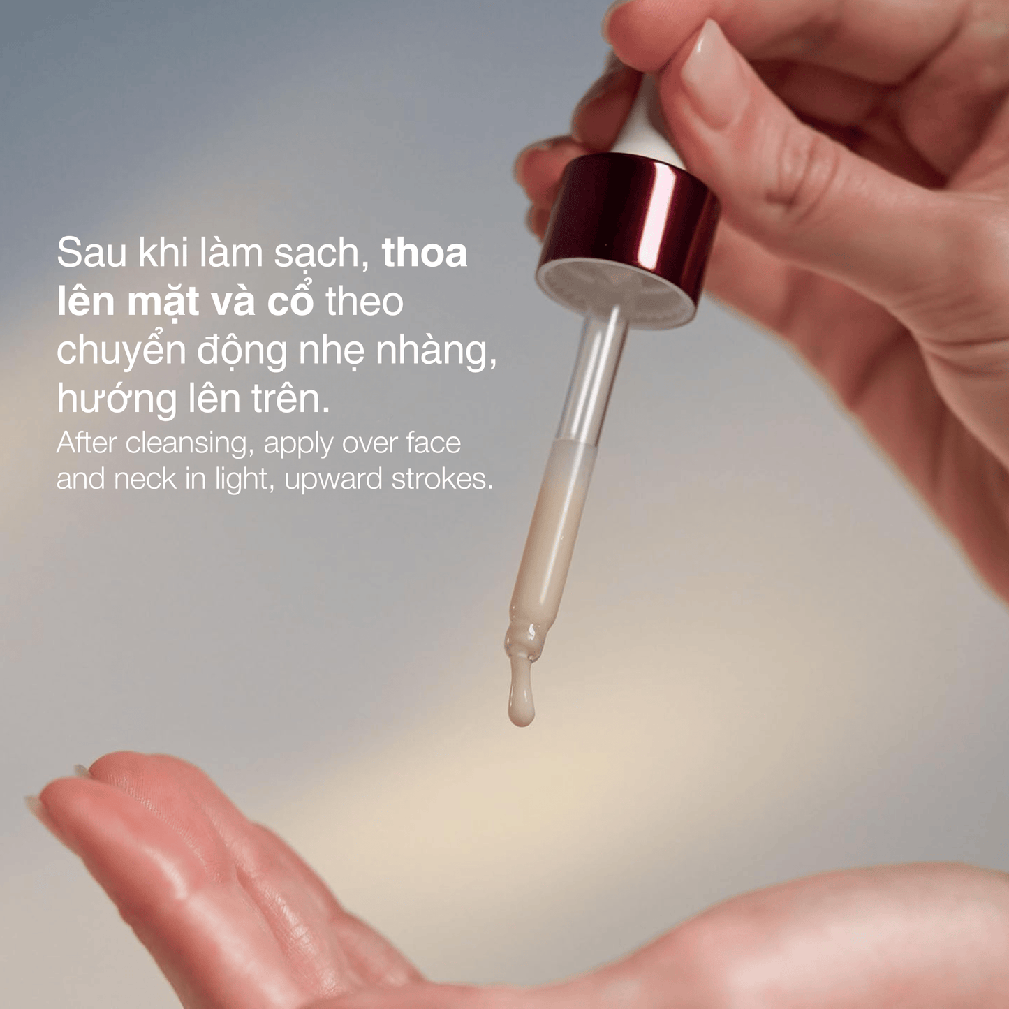 FACIAL OILS AND SERUMS FACIAL OILS AND SERUMS Fullsize 30ml tinh chất chống lão hoá dynamic skin strengthening serum