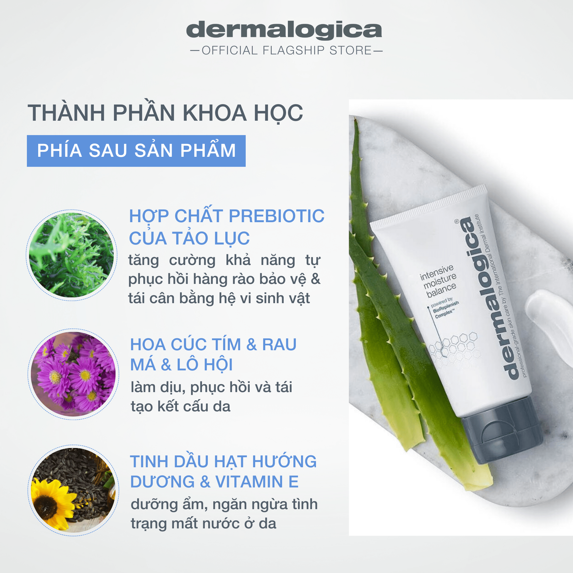 MOISTURIZERS MOISTURIZERS Intensive Moisture Balance - Kem dưỡng ẩm phục hồi da khô