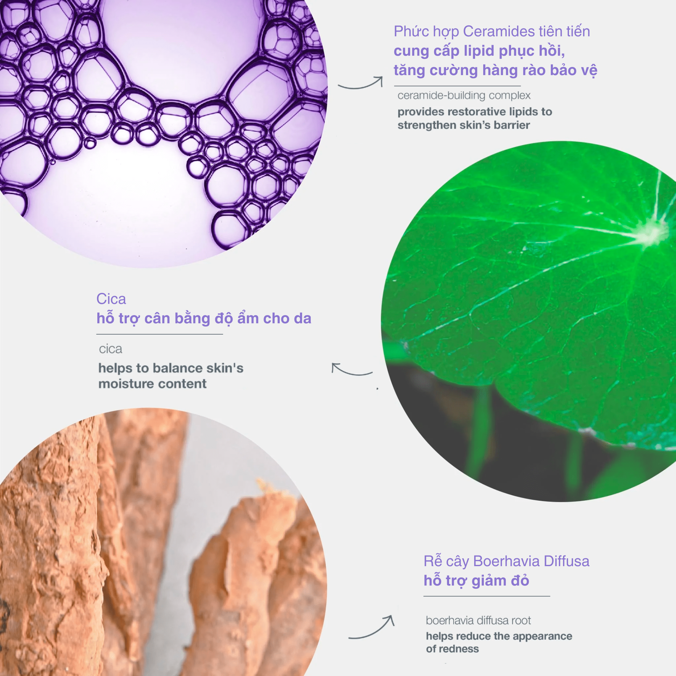 3. Lợi ích sức khỏe của nho đỏ