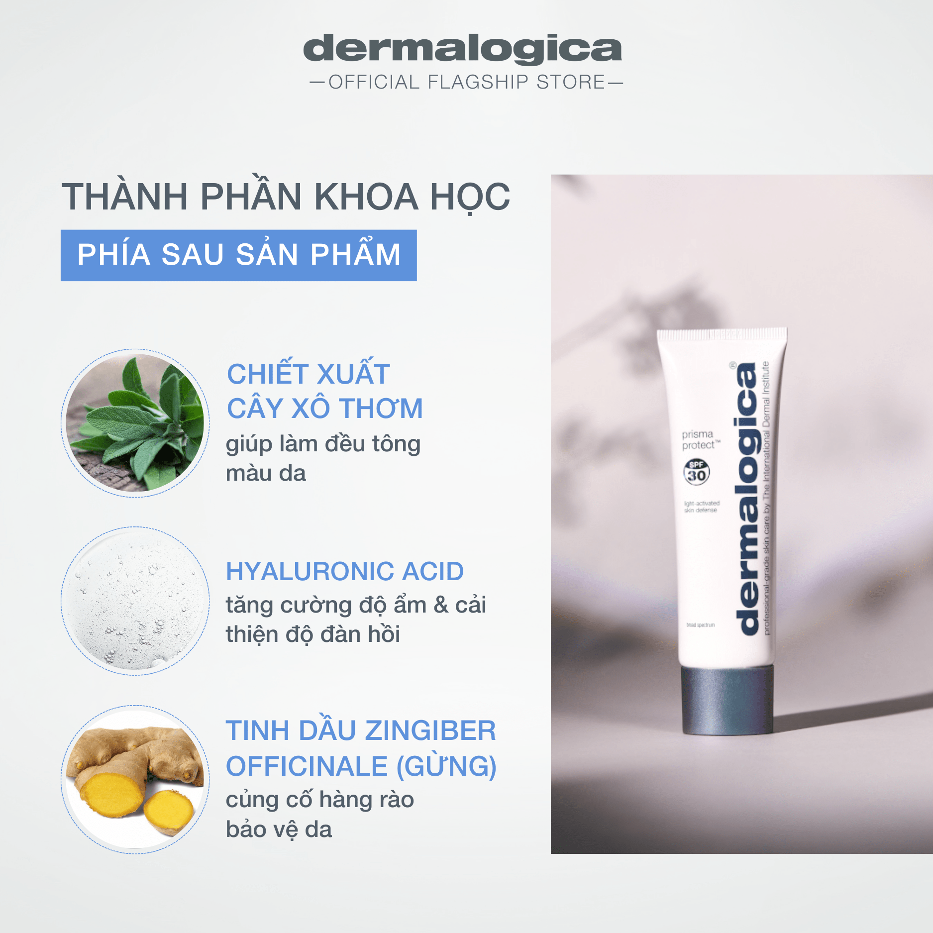 MOISTURIZERS MOISTURIZERS Prisma Protect SPF30 - Kem chống nắng hóa học kết hợp dưỡng ẩm