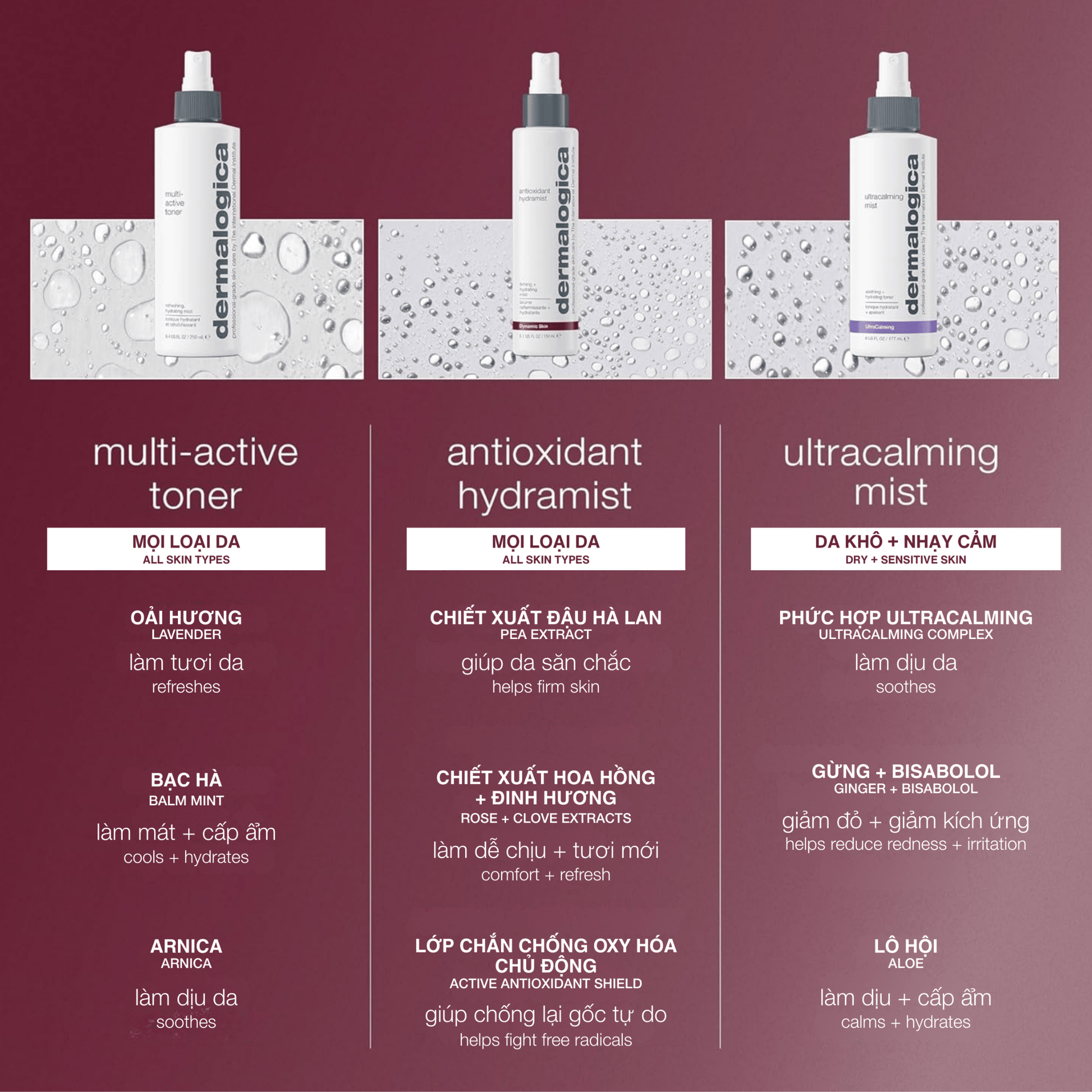 TONERS TONERS xịt khoáng chống lão hoá antioxidant hydramist