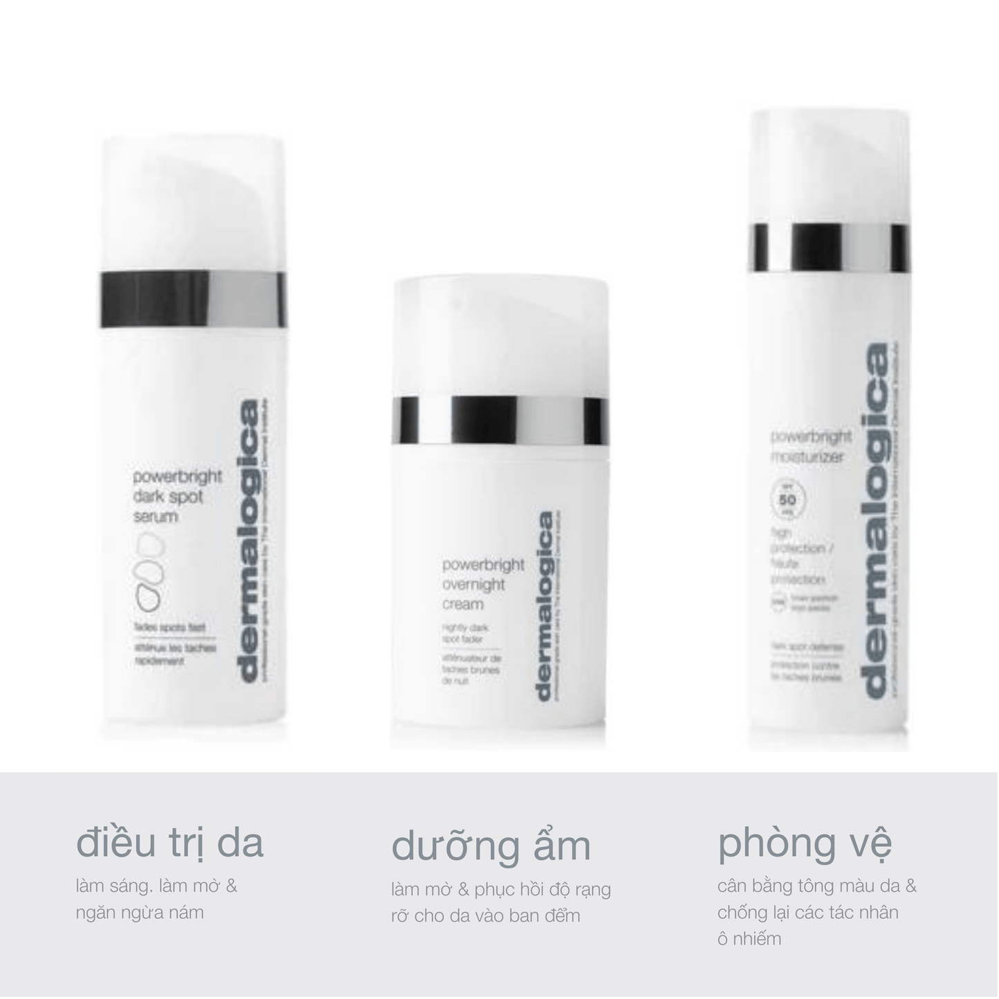 Dermalogica Vietnam Bộ giải pháp cho da thâm nám